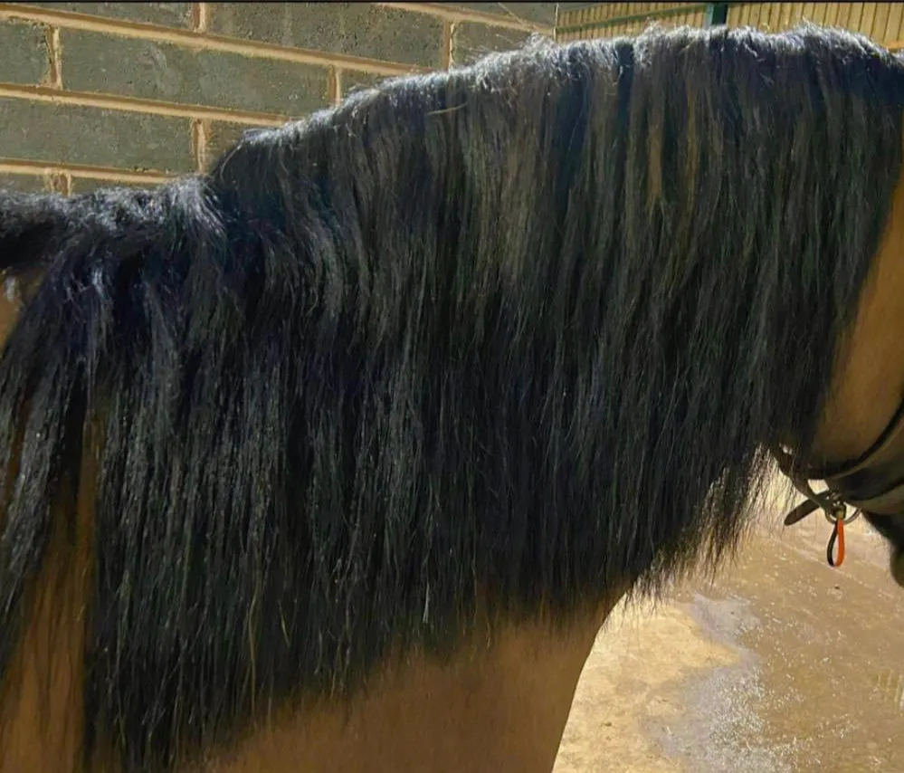 False Mane Wefts