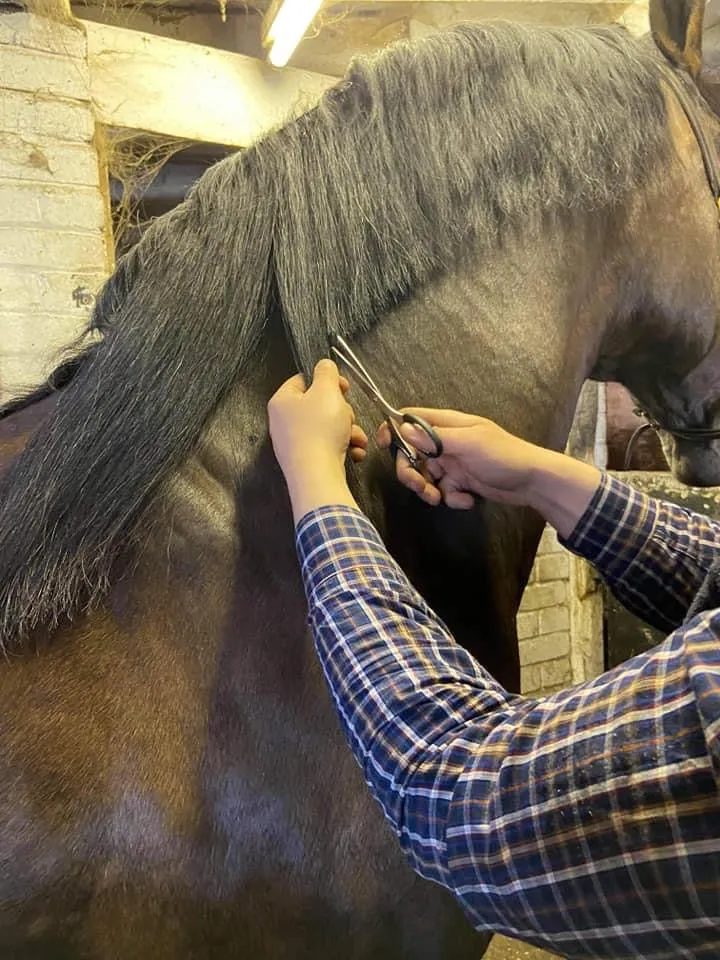 False Mane Wefts