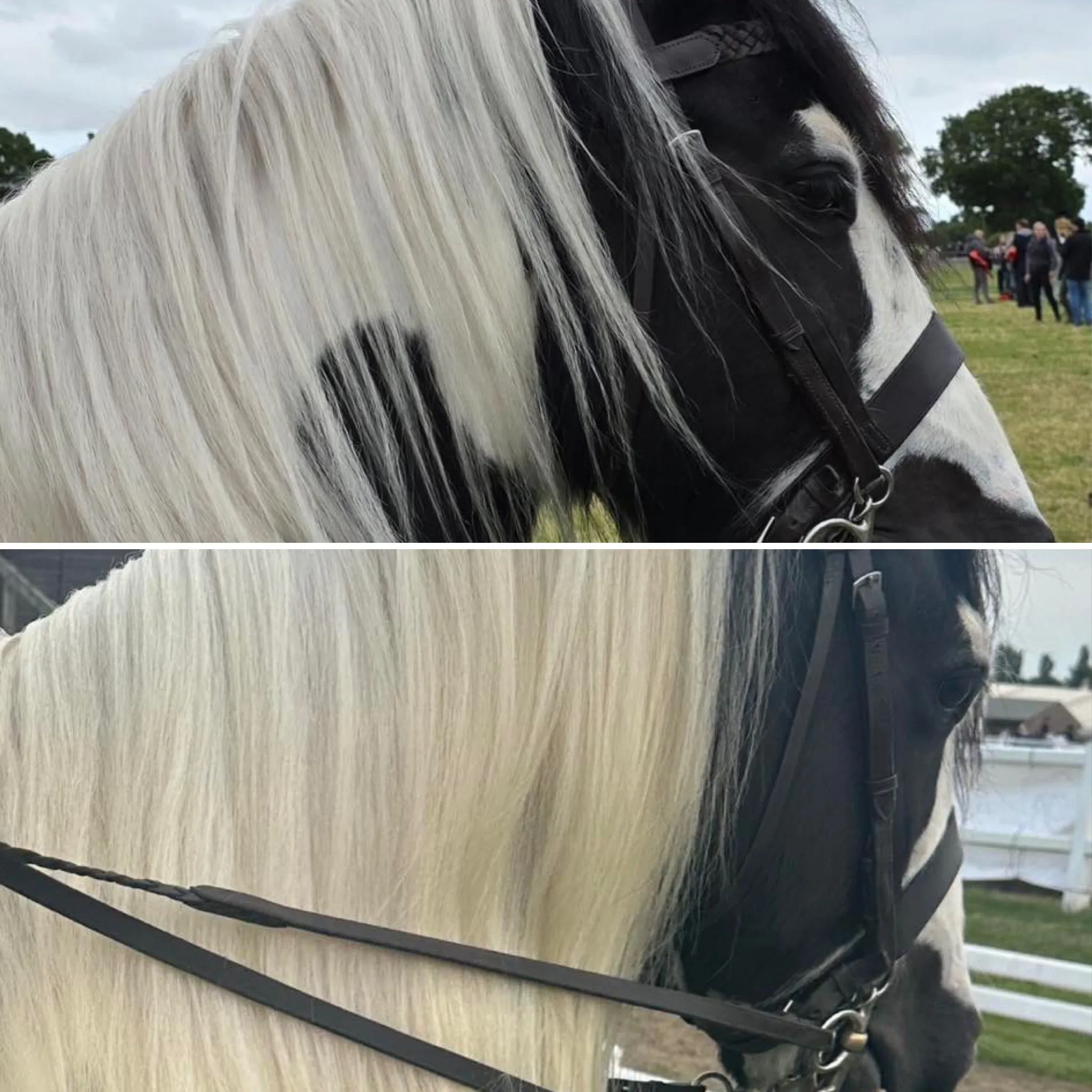 False Mane Wefts