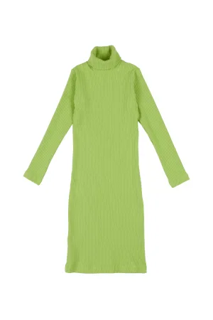 Gia Turtleneck Dress, Glow