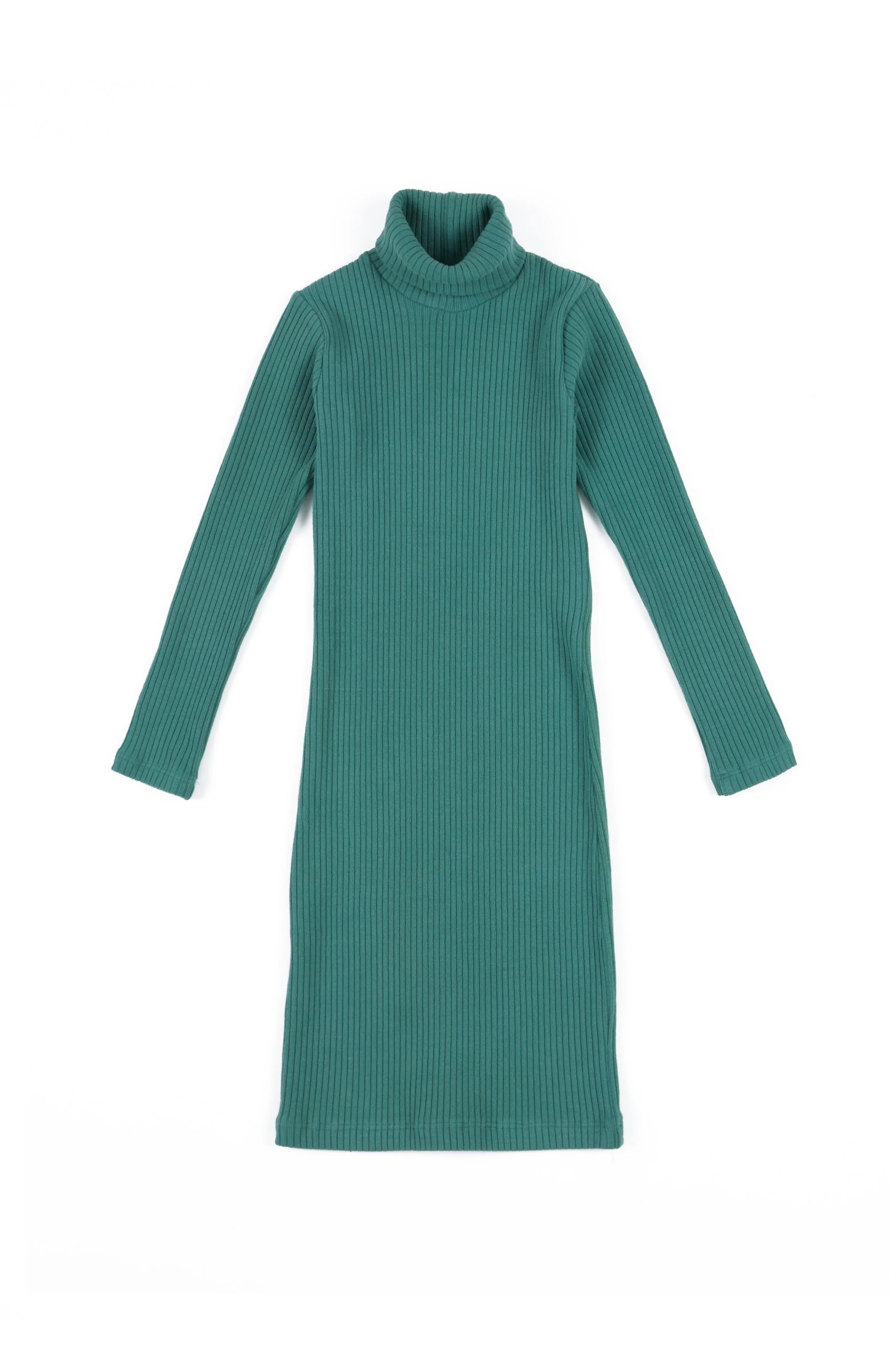 Gia Turtleneck Dress, Thorn