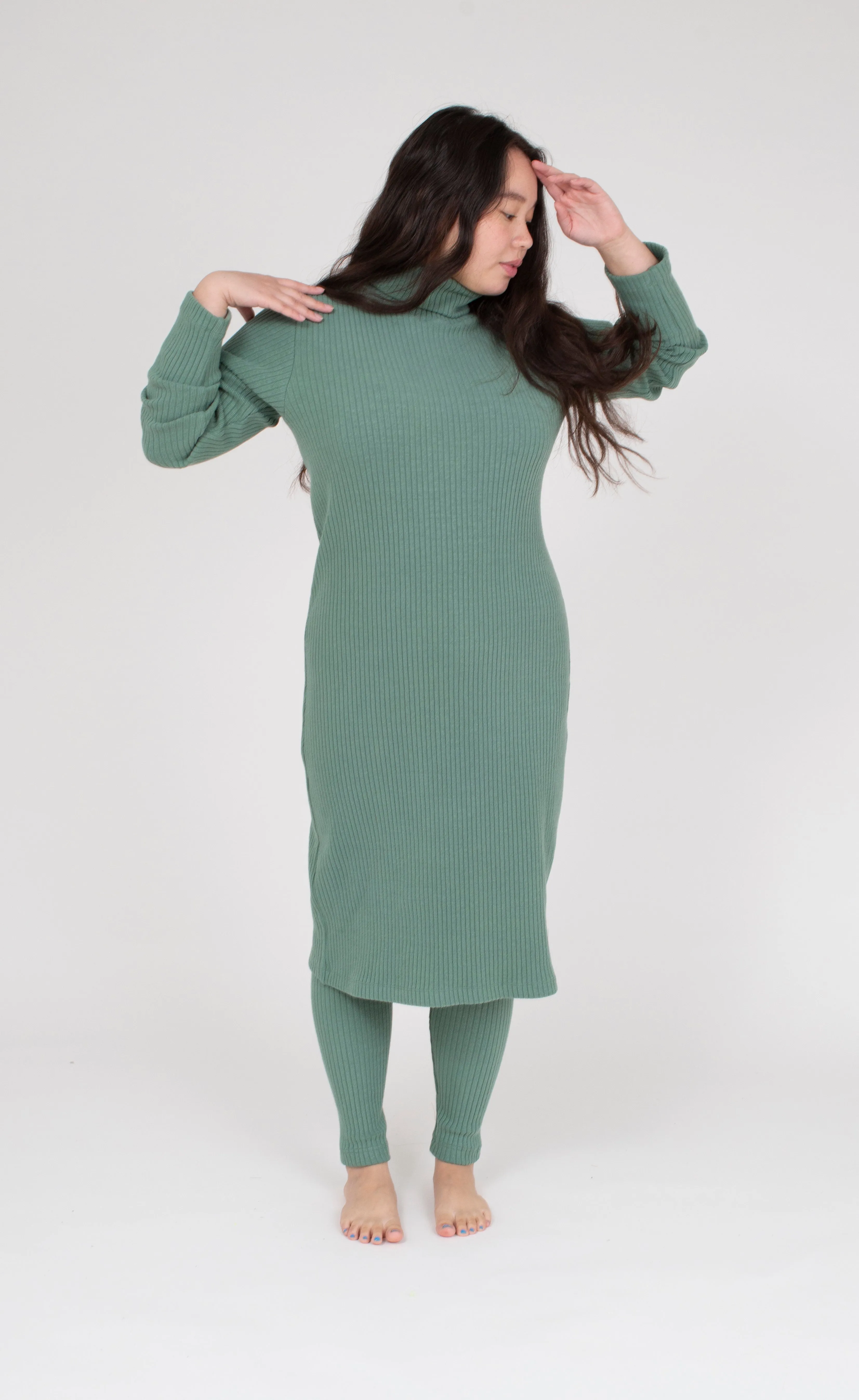 Gia Turtleneck Dress, Thorn