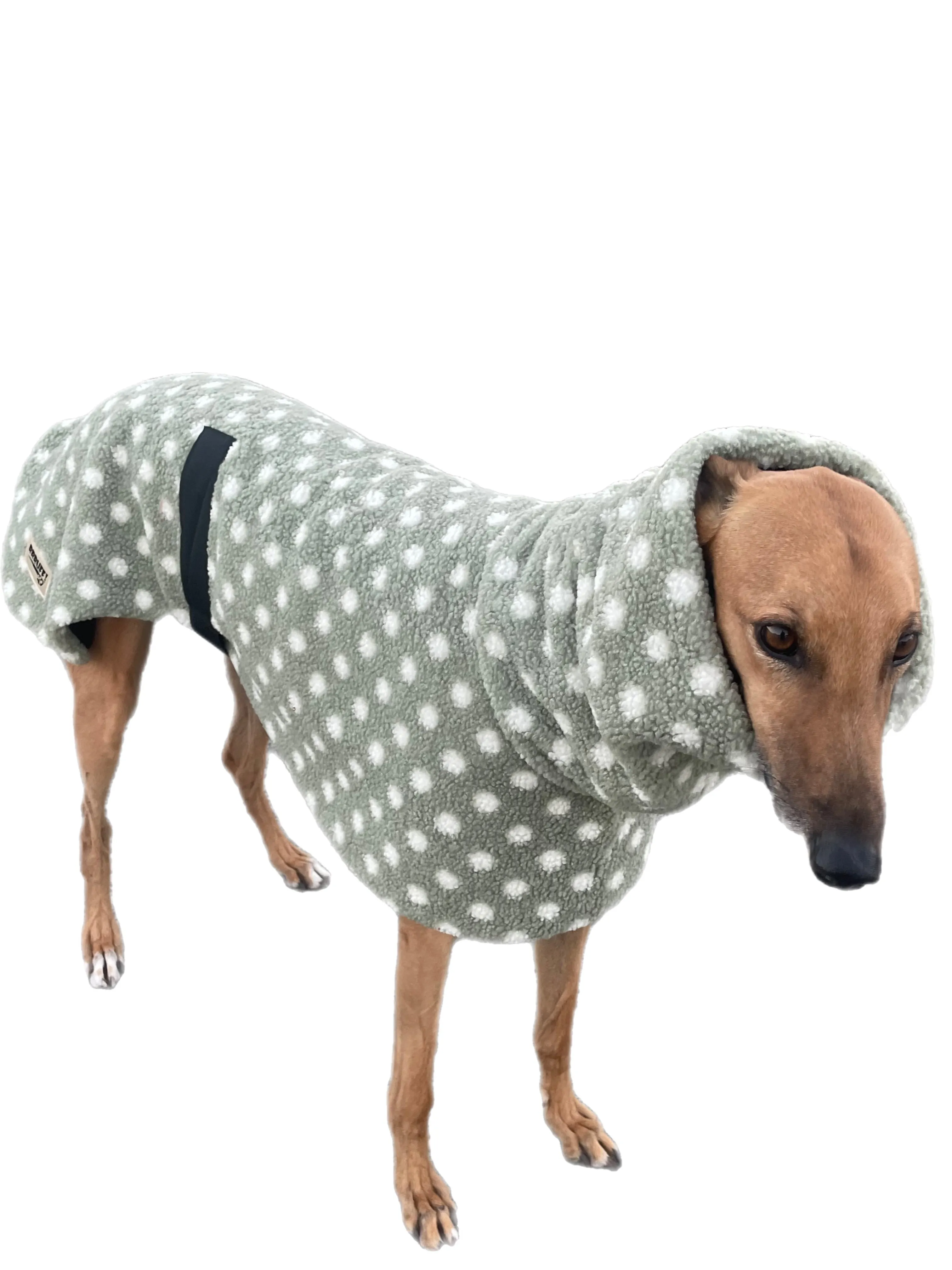 Sage Polka dot print Teddy fleece deluxe style greyhound coat with snuggly wide neck roll