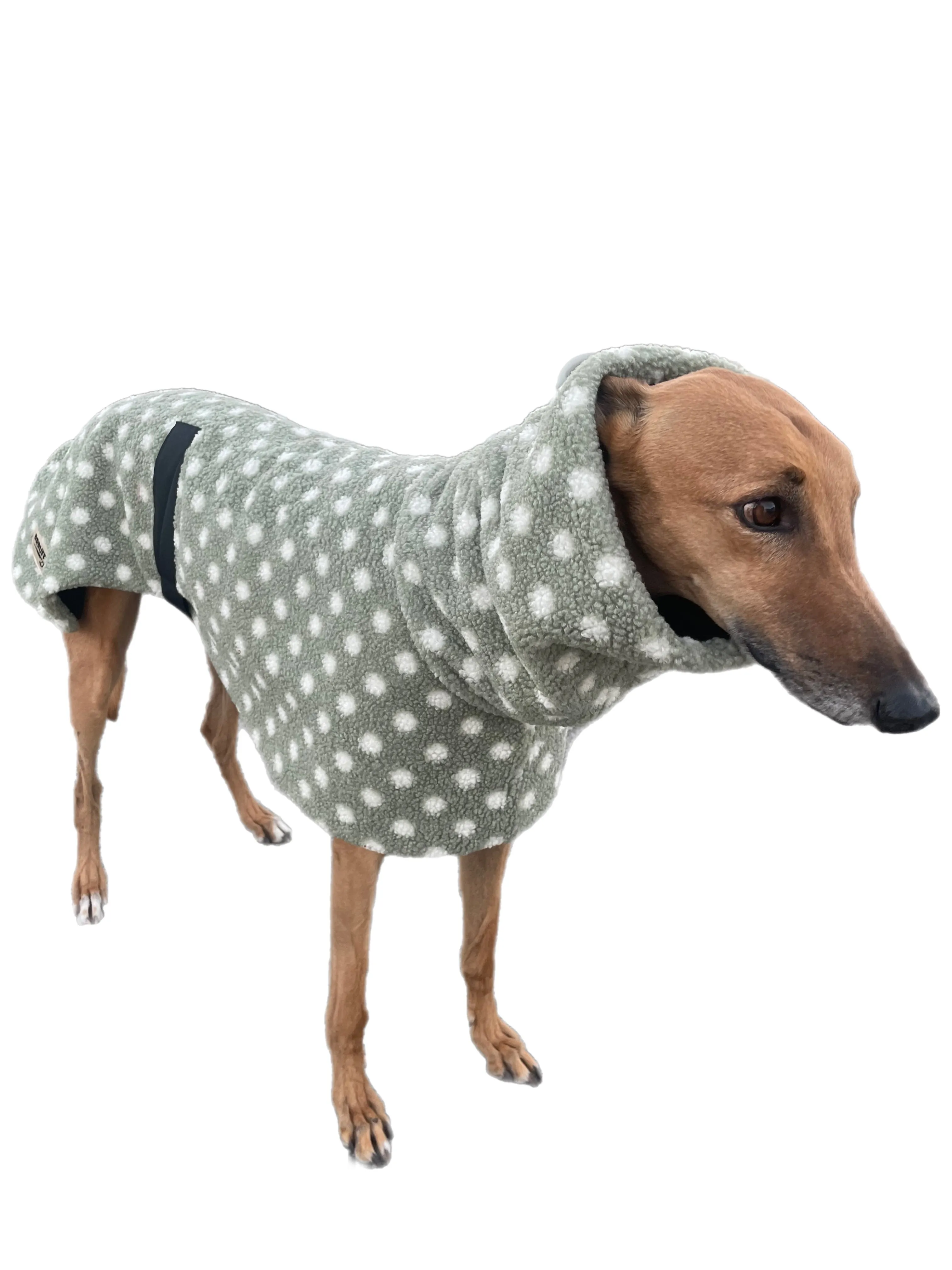 Sage Polka dot print Teddy fleece deluxe style greyhound coat with snuggly wide neck roll