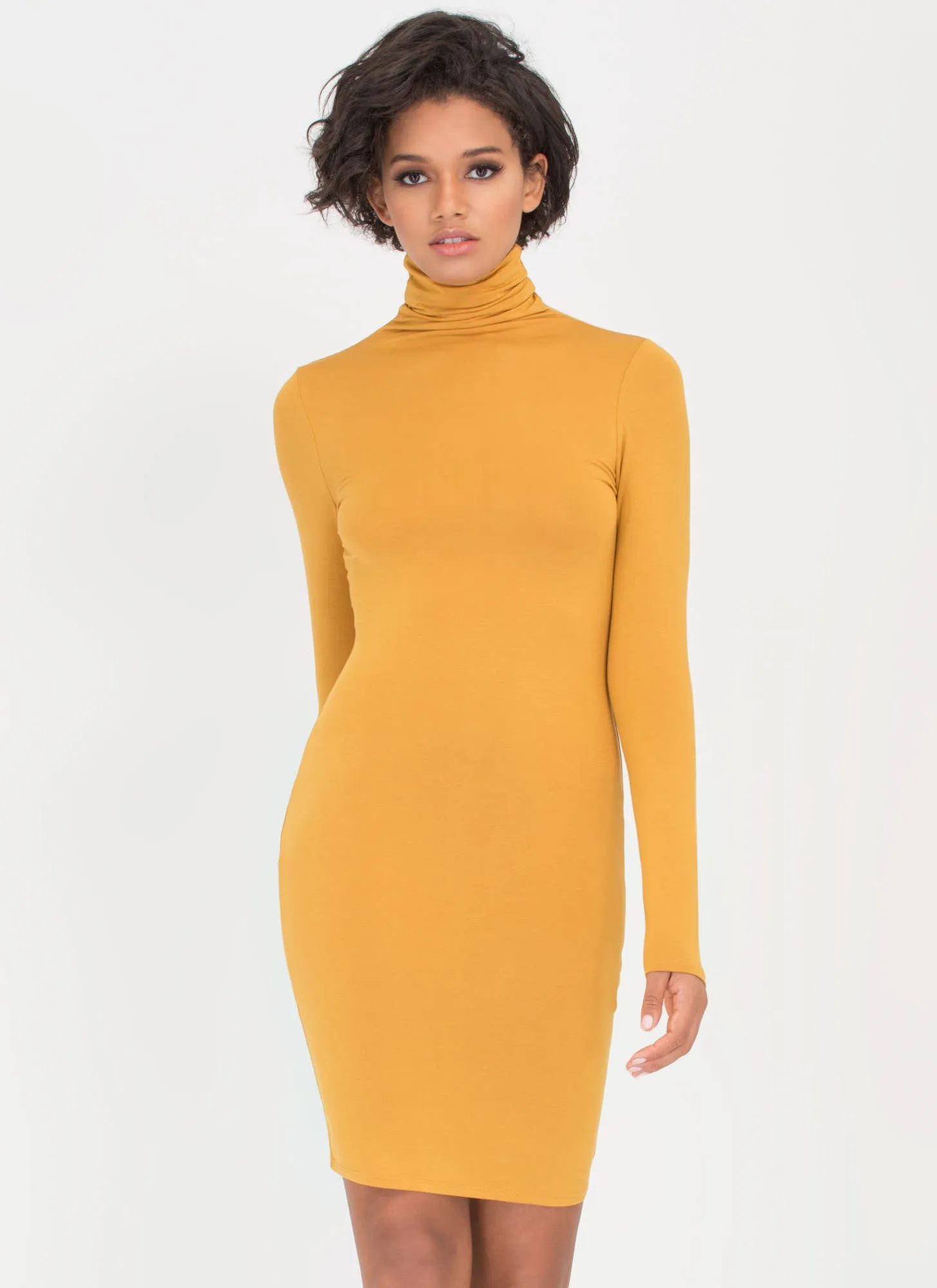 Up To Your Neck Turtleneck Dress