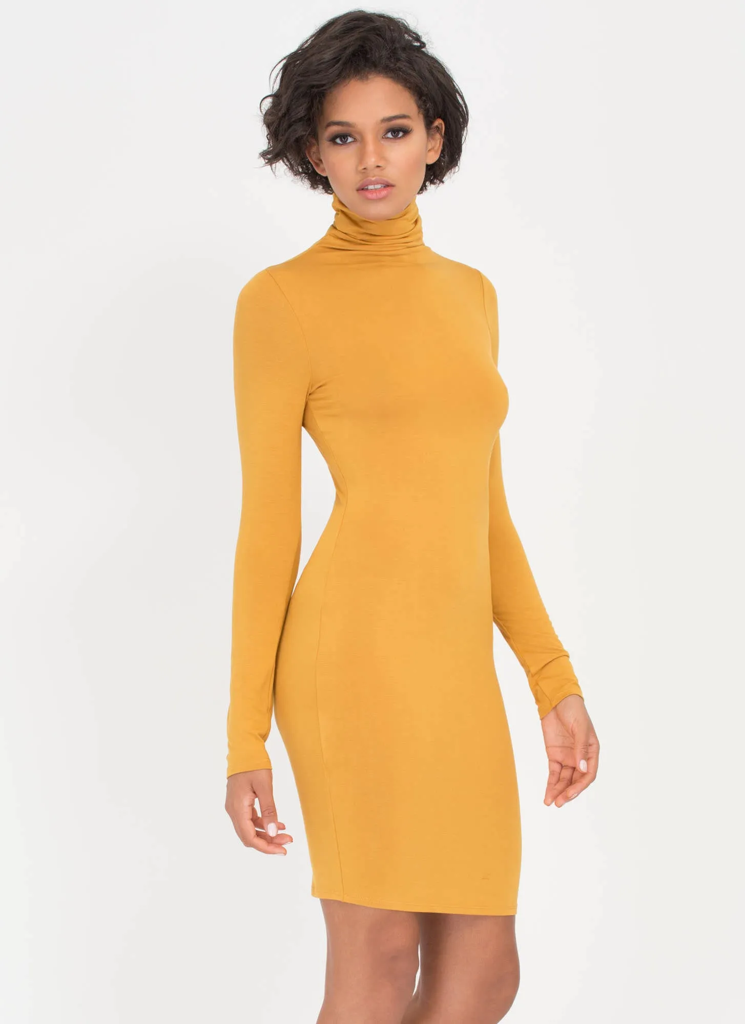 Up To Your Neck Turtleneck Dress